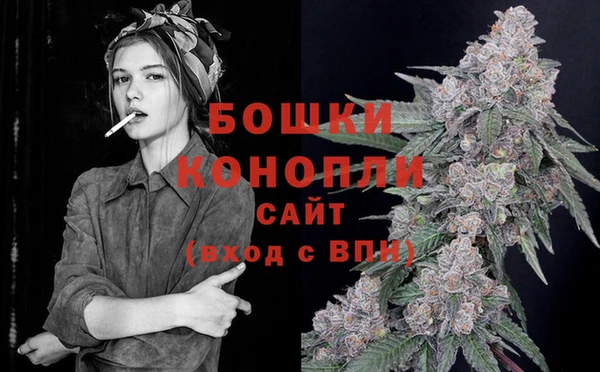 гашик Осинники
