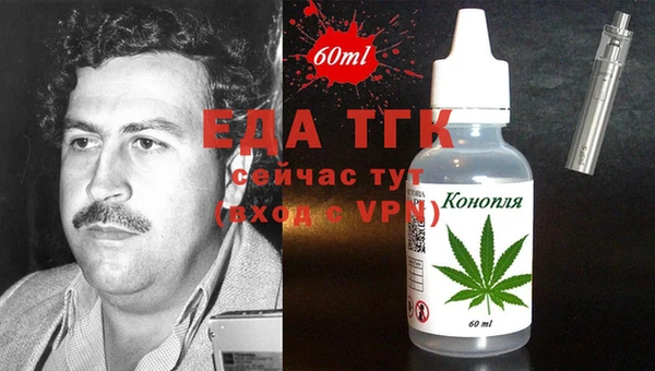 гашик Осинники