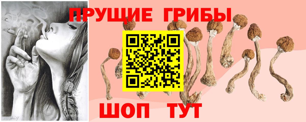 Галлюциногенные грибы Psilocybe  Вход с VPN  Чистополь 