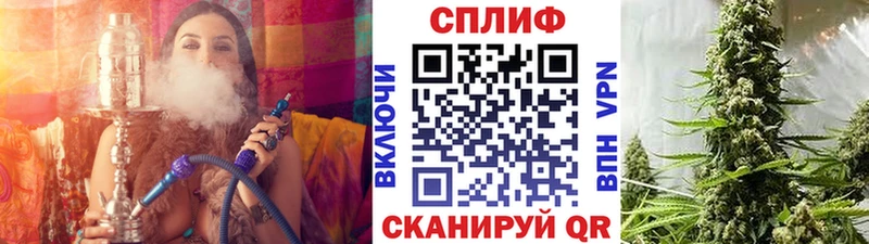 Марихуана OG Kush  Чистополь 